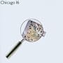 Chicago 16