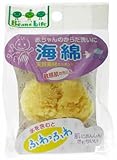 Bean's Life 海綿