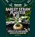 Barley Clear Planter - Large - 1.8 lb.
