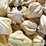 Yugoslavian Finger Fruit 15 Seeds - RARE - Easy to grow - B000UAYARO