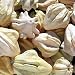 Yugoslavian Finger Fruit 15 Seeds