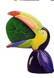 Tropical Furniture