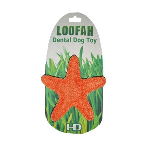 See Organic Loofah Dental Dog Toy - Starfish