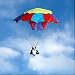 Toys : Brookite - Air Bear Kite & Parachute