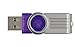 Kingston Datatraveler 101 Gen 2 with urDrive 32 GB USB 2.0 (Purple)