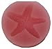 Oasis Supply Starfish Mold, Silicone