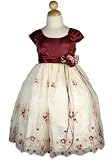 Sleeveless Embroidered Tulle Dress,special occasion, holiday dress