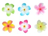 Bundle Monster Hawaiian Plumeria Flower Foam Hair Clip Accessory Set of 6 Jewelry Reviews 41bAUvX rxL. SL160 Bundle Monster Hawaiian Plumeria Flower Foam Hair Clip Accessory Set of 6 Jewelry Reviews