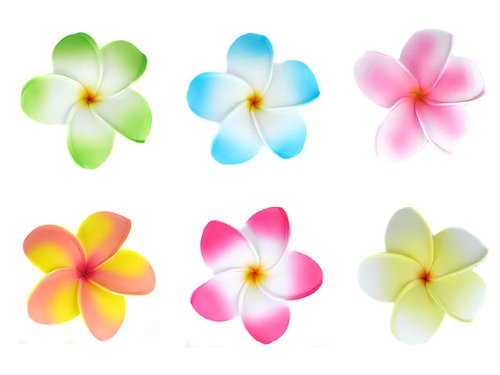 Bundle Monster Hawaiian Plumeria Flower Foam Hair Clip Accessory Set of 6 Jewelry Bundle Monster Hawaiian Plumeria Flower Foam Hair Clip Accessory Set of 6 Jewelry