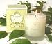 Antique Garden Eucalyptus Mist 233g/8.2oz Perfumed Candle