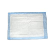 Hospeco At Ease HS-1724P 17-1/2-Inch by 24-Inch Standard Underpads (Case of 300)