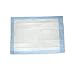 At Ease HS-1724P 17-1/2-Inch by 24-Inch Standard Underpads (Pack of 300)