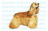 COCKER SPANIEL - Dog Decal -sticker car got window gift