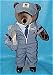 Letter Carrier Patriot Bear