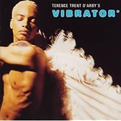 【クリックで詳細表示】バイブレイター