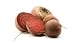 Beet - 18"W x 10"H - Peel and Stick Wall Decal by Wallmonkeys