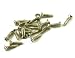 WD Music PGFC W.D. Pickguard Screws, Bag Of 100 - Chrome