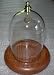 ZDome3 Classy 5" Dome with a Brass Top and Hook and a Solid Oak Base