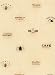 Coffee Labels Wallpaper