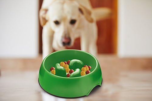 Slow Feed Dog Bowl - Fun Interactive Pet Feeder - Bloat Stop Pet Feeder by SLOWBOWL® (White)