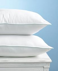 Martha Stewart Collection "Allergy Wise" Synthetic Pillow, King