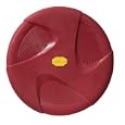 Vibram K9 Frisbee Disc Dog Toy, 10