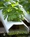 DIY HYDROPONICS Systems Builder Guide