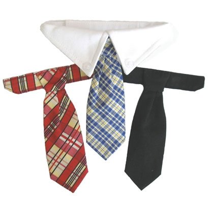 Formal Dog Wedding Necktie Collar Set w/ 3 Ties, XXL (Neck 23-26
