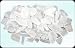 Large 1/2 Pound Lot of Ice White Sea Beach Glass