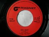PETER SHELLEY Gee Baby UK 7" 45
