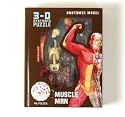 Human Muscle and Skeleton Model