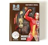 Muscle Man 3-D Anatomical Puzzle