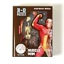 Human Muscle and Skeleton Model