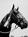 The Horse, 