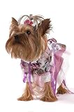 Yorkshire in a Dress on a White Background - 24