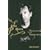 John Zorn: Tradition and Transgression