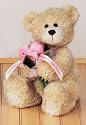 Gund Plush Bear with Flowers - Feel Better Get Well Soon, 10 Inches