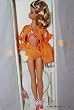 Palm Beach Swim Suit Barbie Silkstone