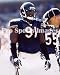 Tommie Harris Chicago Bears 8x10 Photo