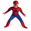 Spiderman Toddler Size: 3T-4T (Red/Blue)