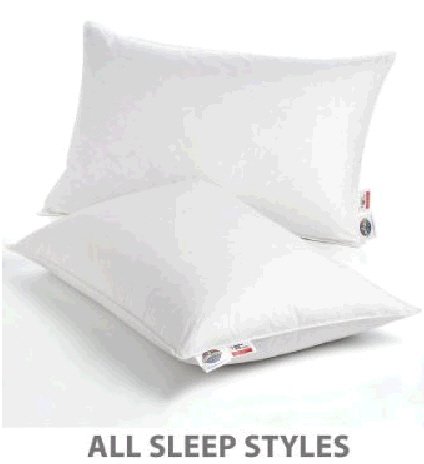 Pacific Coast AllerRest Down Five Star 20 x 36