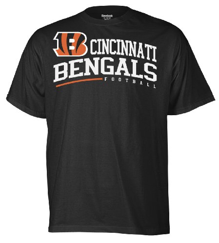 NFL Men's Cincinnati Bengals Arched Horizon Tee Shirt (Lions Blue, Medium)
