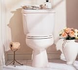 American Standard 4112.016 Cadet Toilet Tank, White