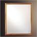Ambience 56402-628 Castilian Gold Reflections Traditional/Classic Rectangular Mirror from the Reflections Collection