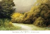Languid Afternoon Art Print Poster By Robert Striffolino, 42 