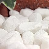 玉砂利 ナチュラルマーブライト ホワイト 25mm 5kg(3.1L)