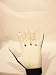 EKTELON CONTROLLER RACQUETBALL GLOVE