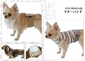 犬用 【マナーバンド カフェオレＭ】 犬服メーカー【アルファアイコン】 新作 ドッグウェア マナーベルト