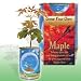 The Patent Magic Plant Company