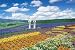 パズルの超達人 2016ピース 富良野からの花便り 23-533でAmazonアフィリエイトツール